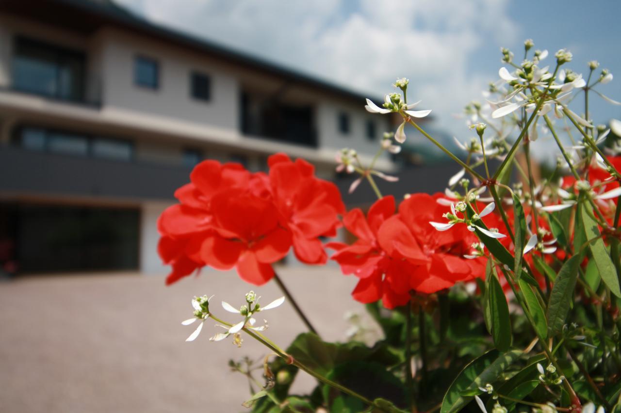 Tholr - Ferienwohnungen - Tramin Termeno Exteriér fotografie